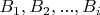 $B_1, B_2,...,B_i $