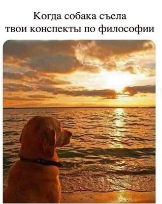 df.jpg