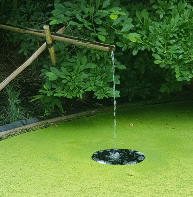 pond.jpg