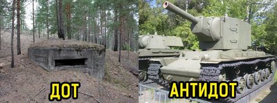D.jpg