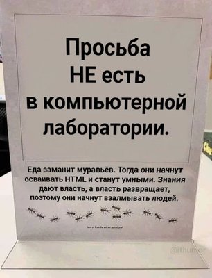 L.jpg