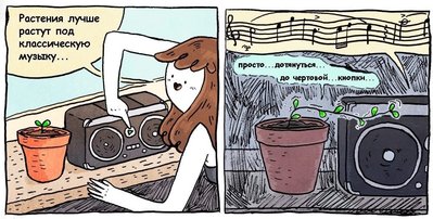 bch1.jpg