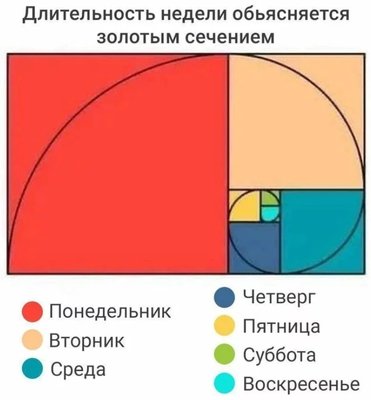 M1.jpg