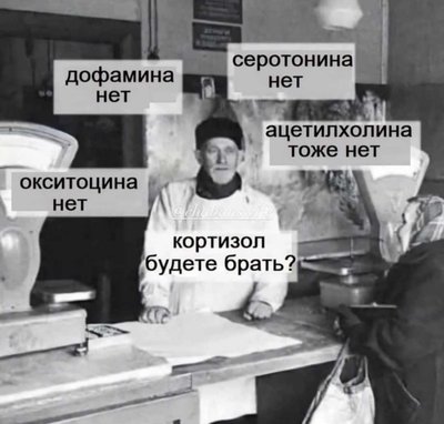 4f4f-0ae692-24bd05.jpg