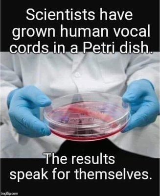 3f3742302c3b49e4a5330ddc28138cb3.jpg