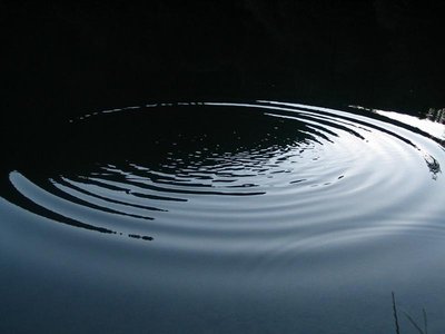 (Copy).jpg
