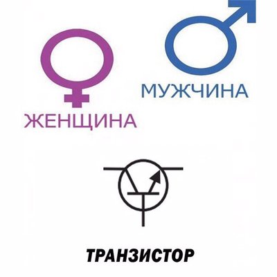 T1.jpg