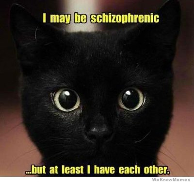 i-may-be-schizophrenic.jpg