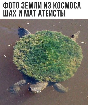 18274700_1323771477718881_1620876035884661969_n.jpg