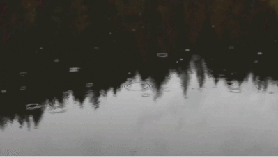 10031017.gif