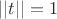 $||t||=1$