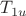 $T_{1u}$