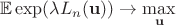 $$\mathbb E\exp (\lambda L_n(\mathbf u)) \to \max _{\mathbf u}$$