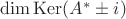 $\operatorname{dim} \operatorname{Ker} (A^*\pm i)$ $\operatorname{dim} \operatorname{Ker} (A^*\pm i)$