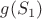 $g(S_1)$
