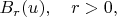 $B_r(u),\quad r>0,$