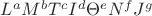 $L^aM^bT^cI^d\Theta^eN^fJ^g$ $L^aM^bT^cI^d\Theta^eN^fJ^g$