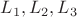 $L_{1}, L_{2}, L_{3}$
