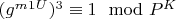 $(g^m^1^U) ^3\equiv 1\mod P^K$