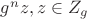 $g^nz, z\in Z_g$