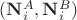 $(\mathbf N^A_i, \mathbf N^B_i)$