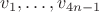 $v_1, \ldots ,v_{4n-1}$