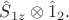 $\hat{S}_{1z} \otimes \hat{1}_2.$