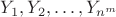 $Y_1, Y_2, \ldots ,Y_{n^m}$ $Y_1, Y_2, \ldots ,Y_{n^m}$