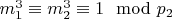 $m_1 ^ 3\equiv m_2 ^ 3\equiv1\mod p_2$