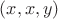 $(x,x,y)$