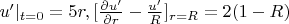 $u'|_{t=0} = 5r, [\frac {\partial u'} {\partial r} - \frac {u'} {R}]_{r=R} = 2(1-R)$