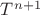 $T^{n+1}$