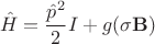 $$
\hat{H}=\frac{\hat{p}^2}{2}I + g(\mathbf{\sigma}\mathbf{B})
$$