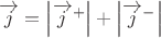 $ \overrightarrow j = \left\lvert\overrightarrow j^+\right\rvert + \left\lvert\overrightarrow j^-\right\rvert $