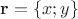 $\mathbf{r} = \left\lbrace x; y\right\rbrace$