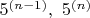 $5^{(n-1)},\ 5^{(n)}$