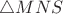 $\triangle MNS$ $\triangle MNS$