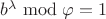 $b^{\lambda} \bmod \varphi = 1$