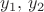 $y_1, \, y_2$