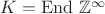 $K = \mathrm{End}\ \mathbb{Z}^{\infty}$