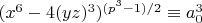 $(x^6-4 (yz)^3)^{(p^3-1)/2} \equiv a_0^3$