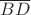 $\overline {BD}$