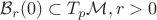 $\mathcal{B}_r(0) \subset T_p\mathcal{M}, r > 0$