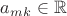 $a_{mk} \in \mathbb{R}$