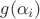 $g(\alpha_i)$
