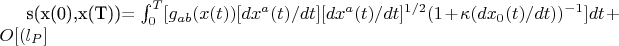 s(x(0),x(T))= \int_{0}^{T} [g_{ab}(x(t))[d{x^{a}(t)}/dt] [d{x^{a}(t)}/dt]^{1/2}(1+ 
\kappa (dx_{0}(t)/dt))^{-1}]dt+O[(l_P]