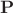 ${\bf P}$