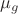 $\mu _{g}$