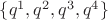 $\{ q^1, q^2, q^3, q^4 \}$