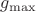 $g_{\max}$